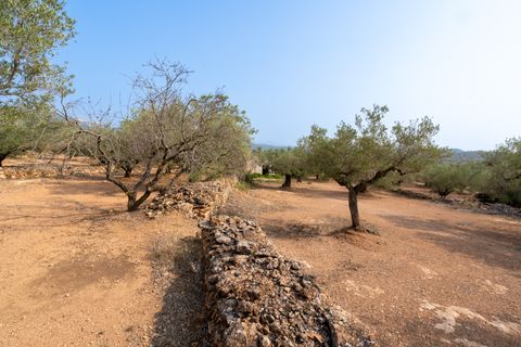 Finca i Camarles, Tarragona, Camarles - € 75.000 | Ref: 115 - foto 17