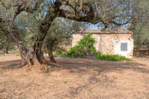 Finca i Camarles, Tarragona, Camarles - € 75.000 | Ref: 115 - foto 14