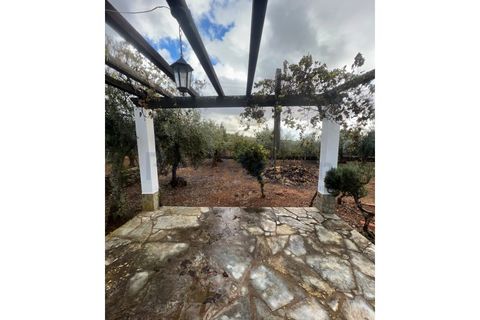 Villa i Terrugem e Vila Boim, Portalegre, Terrugem e Vila Boim - € 420.000 | Ref: 1030 - foto 33
