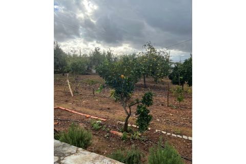 Villa i Terrugem e Vila Boim, Portalegre, Terrugem e Vila Boim - € 420.000 | Ref: 1030 - foto 34
