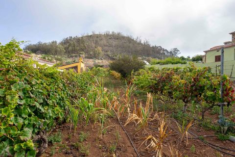 Terra a Tacoronte, Tenerife, Tacoronte - € 189.000 | Ref: 0067-04287/2961 - foto 6