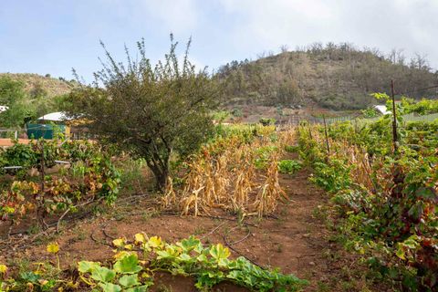 Terra a Tacoronte, Tenerife, Tacoronte - € 189.000 | Ref: 0067-04287/2961 - foto 8