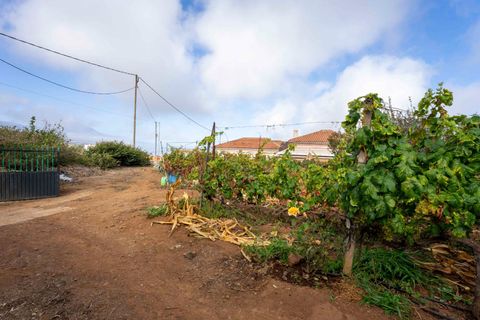 Terra a Tacoronte, Tenerife, Tacoronte - € 189.000 | Ref: 0067-04287/2961 - foto 13