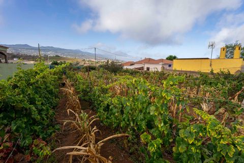 Terra a Tacoronte, Tenerife, Tacoronte - € 189.000 | Ref: 0067-04287/2961 - foto 15