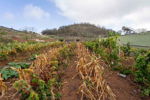 Terra a Tacoronte, Tenerife, Tacoronte - € 189.000 | Ref: 0067-04287/2961 - foto 16