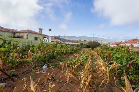 Terra a Tacoronte, Tenerife, Tacoronte - € 189.000 | Ref: 0067-04287/2961 - foto 17