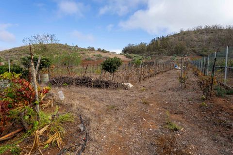 Terra a Tacoronte, Tenerife, Tacoronte - € 189.000 | Ref: 0067-04287/2961 - foto 20