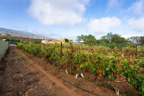 Terra a Tacoronte, Tenerife, Tacoronte - € 189.000 | Ref: 0067-04287/2961 - foto 21