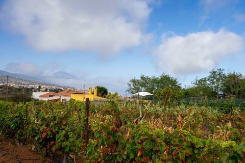 Terra a Tacoronte, Tenerife, Tacoronte - € 189.000 | Ref: 0067-04287/2961 - foto 22