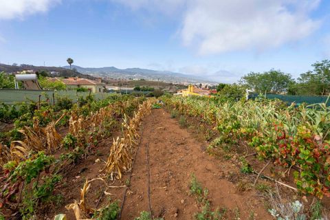 Terra a Tacoronte, Tenerife, Tacoronte - € 189.000 | Ref: 0067-04287/2961 - foto 23