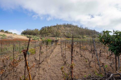 Terra a Tacoronte, Tenerife, Tacoronte - € 189.000 | Ref: 0067-04287/2961 - foto 24