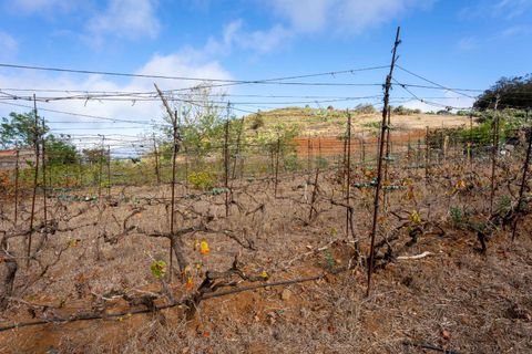 Terra a Tacoronte, Tenerife, Tacoronte - € 189.000 | Ref: 0067-04287/2961 - foto 25