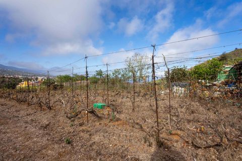Terra a Tacoronte, Tenerife, Tacoronte - € 189.000 | Ref: 0067-04287/2961 - foto 26