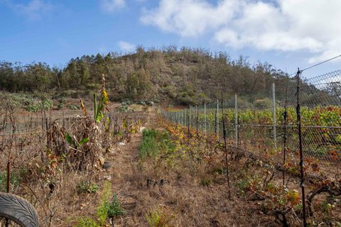 Terra a Tacoronte, Tenerife, Tacoronte - € 189.000 | Ref: 0067-04287/2961 - foto 27