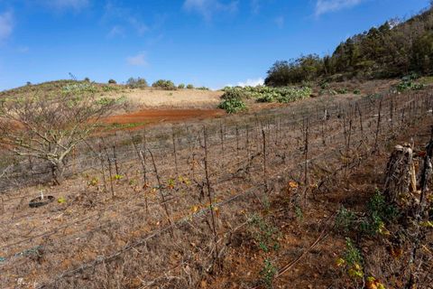 Terra a Tacoronte, Tenerife, Tacoronte - € 189.000 | Ref: 0067-04287/2961 - foto 29
