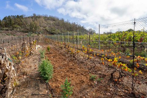 Terra a Tacoronte, Tenerife, Tacoronte - € 189.000 | Ref: 0067-04287/2961 - foto 30