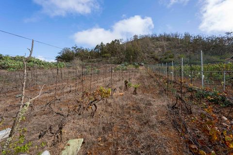 Terra a Tacoronte, Tenerife, Tacoronte - € 189.000 | Ref: 0067-04287/2961 - foto 31