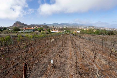 Terra a Tacoronte, Tenerife, Tacoronte - € 189.000 | Ref: 0067-04287/2961 - foto 32