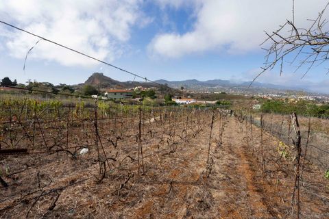 Terra a Tacoronte, Tenerife, Tacoronte - € 189.000 | Ref: 0067-04287/2961 - foto 33