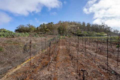 Terra a Tacoronte, Tenerife, Tacoronte - € 189.000 | Ref: 0067-04287/2961 - foto 34