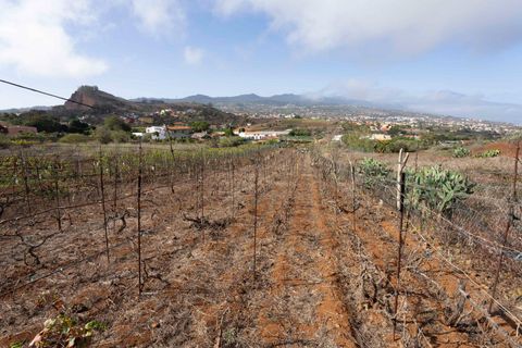 Terra a Tacoronte, Tenerife, Tacoronte - € 189.000 | Ref: 0067-04287/2961 - foto 36