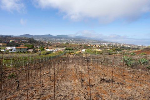 Terra a Tacoronte, Tenerife, Tacoronte - € 189.000 | Ref: 0067-04287/2961 - foto 37