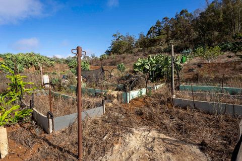 Terra a Tacoronte, Tenerife, Tacoronte - € 189.000 | Ref: 0067-04287/2961 - foto 38