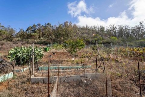 Terra a Tacoronte, Tenerife, Tacoronte - € 189.000 | Ref: 0067-04287/2961 - foto 39