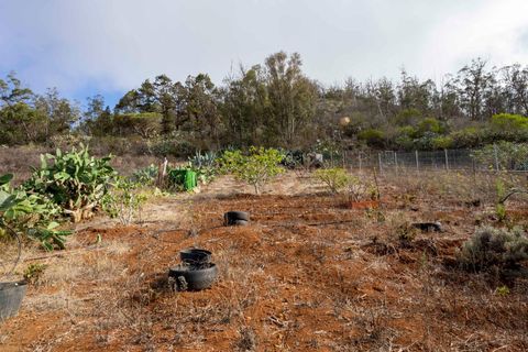 Terra a Tacoronte, Tenerife, Tacoronte - € 189.000 | Ref: 0067-04287/2961 - foto 40