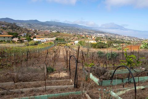 Terra a Tacoronte, Tenerife, Tacoronte - € 189.000 | Ref: 0067-04287/2961 - foto 41