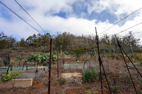Terra a Tacoronte, Tenerife, Tacoronte - € 189.000 | Ref: 0067-04287/2961 - foto 42