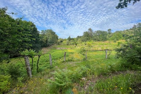 Terra a Azere, Viana do Castelo, Azere - € 75.000 | Ref: PTL-001-051 - foto 6