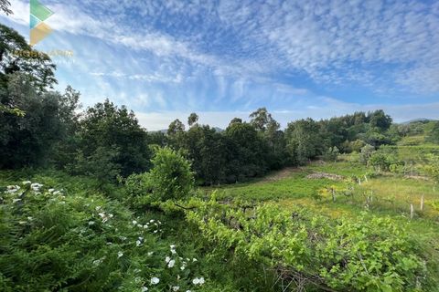 Terra a Azere, Viana do Castelo, Azere - € 75.000 | Ref: PTL-001-051 - foto 8