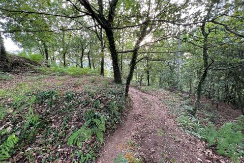 Terra a Azere, Viana do Castelo, Azere - € 75.000 | Ref: PTL-001-051 - foto 9