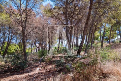 Helårsgrund i Moraira, Alicante, Moraira - € 421.000 | Ref: PMR0042 - foto 6