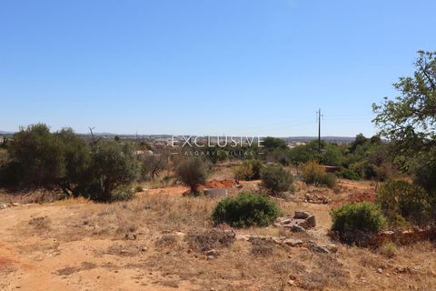 Villa i Silves, Faro, Silves - € 1.890.000 | Ref: EAV-3877 - foto 16