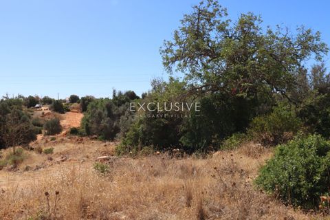 Villa i Silves, Faro, Silves - € 1.890.000 | Ref: EAV-3877 - foto 17