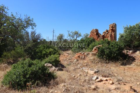 Villa i Silves, Faro, Silves - € 1.890.000 | Ref: EAV-3877 - foto 31