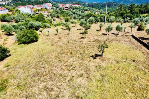 Helårsgrund i Tomar, Santarem, Tomar - € 80.000 | Ref: VCP346 - foto 1