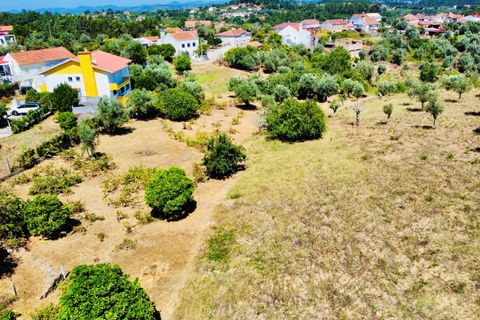 Helårsgrund i Tomar, Santarem, Tomar - € 80.000 | Ref: VCP346 - foto 2