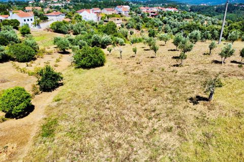 Helårsgrund i Tomar, Santarem, Tomar - € 80.000 | Ref: VCP346 - foto 3