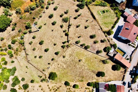 Helårsgrund i Tomar, Santarem, Tomar - € 80.000 | Ref: VCP346 - foto 4