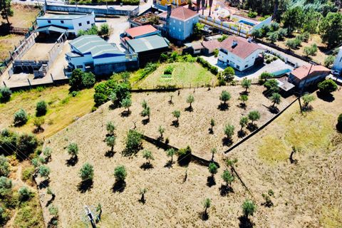 Helårsgrund i Tomar, Santarem, Tomar - € 80.000 | Ref: VCP346 - foto 6