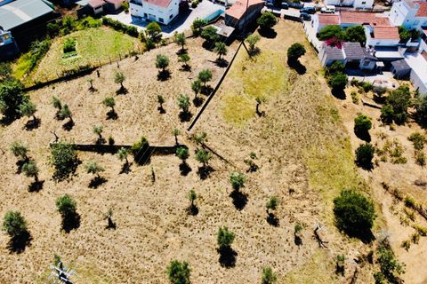 Helårsgrund i Tomar, Santarem, Tomar - € 80.000 | Ref: VCP346 - foto 7