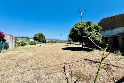 Helårsgrund i Tomar, Santarem, Tomar - € 80.000 | Ref: VCP346 - foto 8