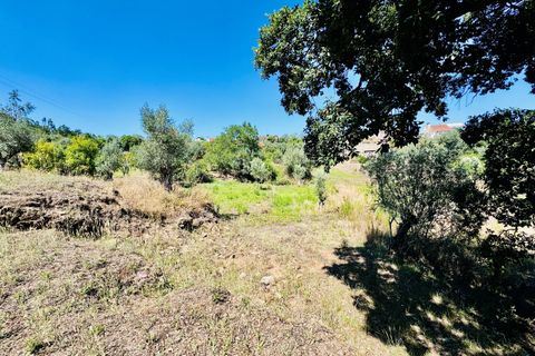 Helårsgrund i Tomar, Santarem, Tomar - € 80.000 | Ref: VCP346 - foto 9