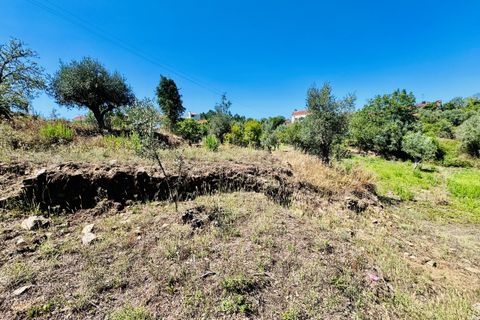 Helårsgrund i Tomar, Santarem, Tomar - € 80.000 | Ref: VCP346 - foto 10