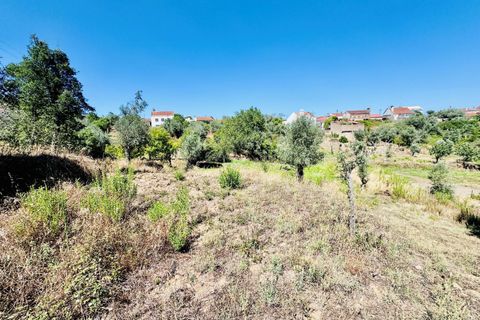 Helårsgrund i Tomar, Santarem, Tomar - € 80.000 | Ref: VCP346 - foto 11