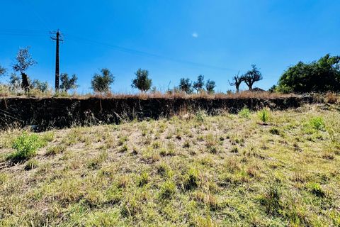 Helårsgrund i Tomar, Santarem, Tomar - € 80.000 | Ref: VCP346 - foto 12