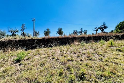 Helårsgrund i Tomar, Santarem, Tomar - € 80.000 | Ref: VCP346 - foto 13